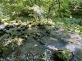 Small mountain river GerovÃÂica, Zamost - Region of Gorski kotar, Croatia / Mala gorska rijeka GerovÃÂica